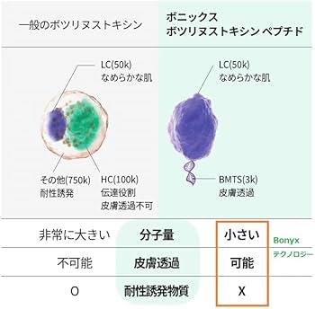 Amazon.co.jp: 【国内総代理店】Bonyx（ボニックス）塗る